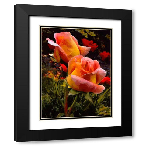 Two Red Roses Black Modern Wood Framed Art Print with Double Matting by Medeiros, Celito
