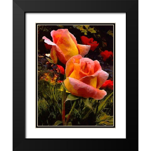 Two Red Roses Black Modern Wood Framed Art Print with Double Matting by Medeiros, Celito