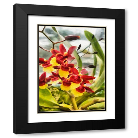 Red and Yellow Orchid Black Modern Wood Framed Art Print with Double Matting by Medeiros, Celito