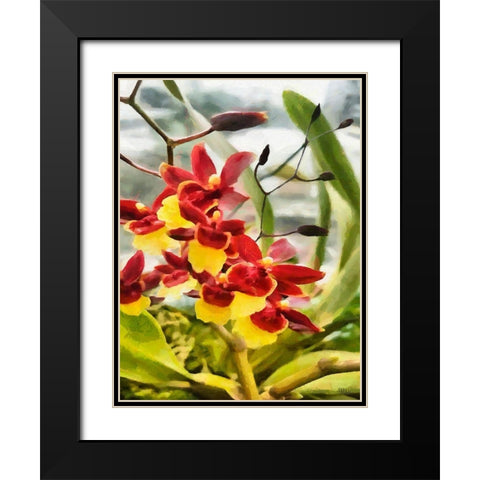 Red and Yellow Orchid Black Modern Wood Framed Art Print with Double Matting by Medeiros, Celito