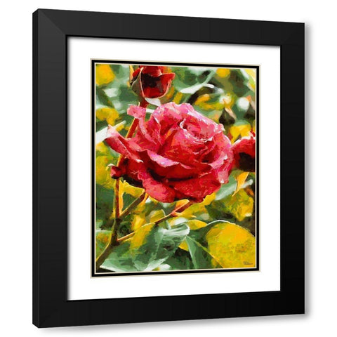 One Red Rose Black Modern Wood Framed Art Print with Double Matting by Medeiros, Celito