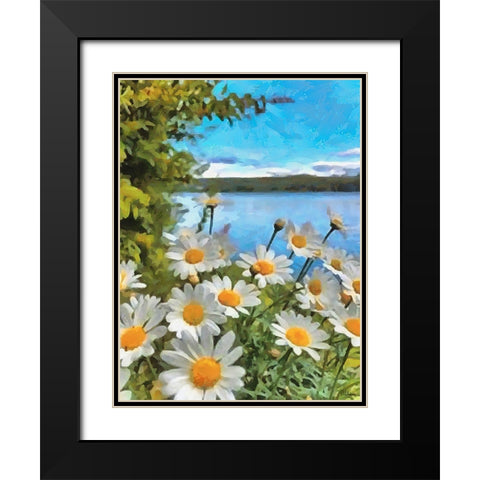 Daisies by the Lake Black Modern Wood Framed Art Print with Double Matting by Medeiros, Celito