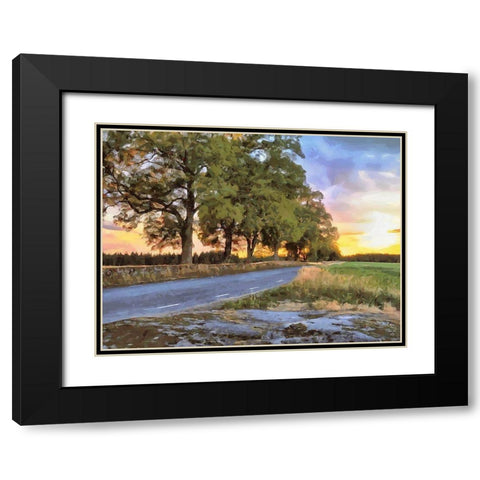 Oak Way by Sunset Black Modern Wood Framed Art Print with Double Matting by Medeiros, Celito