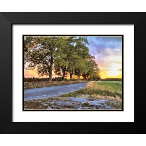 Oak Way by Sunset Black Modern Wood Framed Art Print with Double Matting by Medeiros, Celito