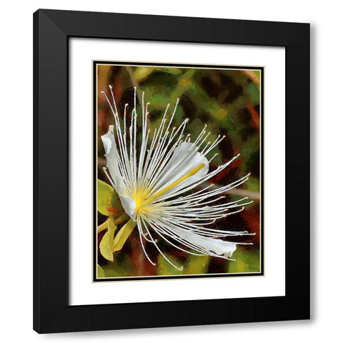 Spring Floral Variations XX Black Modern Wood Framed Art Print with Double Matting by Medeiros, Celito