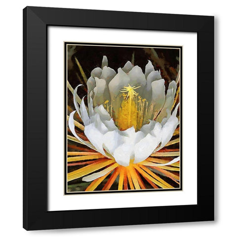 Spring Floral Variations XXI Black Modern Wood Framed Art Print with Double Matting by Medeiros, Celito