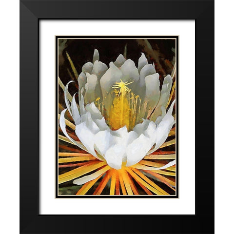 Spring Floral Variations XXI Black Modern Wood Framed Art Print with Double Matting by Medeiros, Celito