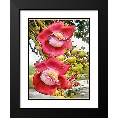 Spring Floral Variations XXVIII Black Modern Wood Framed Art Print with Double Matting by Medeiros, Celito