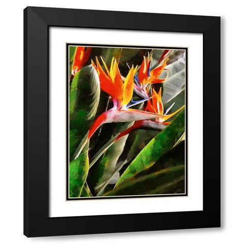 Spring Floral Variations XLIII Black Modern Wood Framed Art Print with Double Matting by Medeiros, Celito