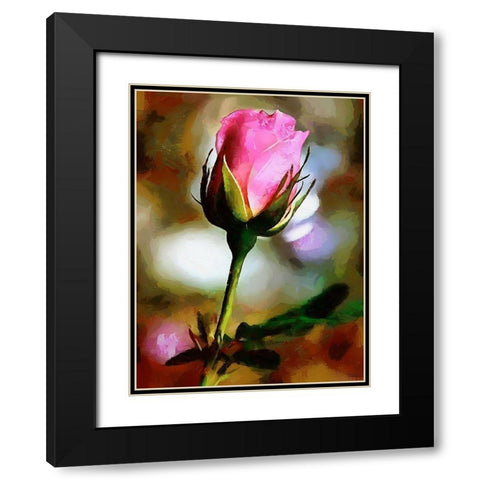 Spring Floral Variations XLV Black Modern Wood Framed Art Print with Double Matting by Medeiros, Celito