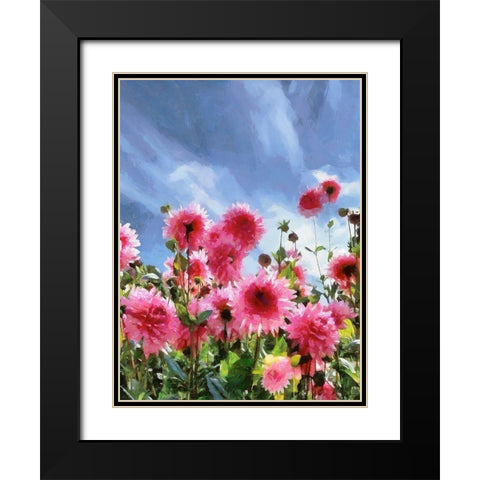 Pink Flowers with Blue Sky Black Modern Wood Framed Art Print with Double Matting by Medeiros, Celito