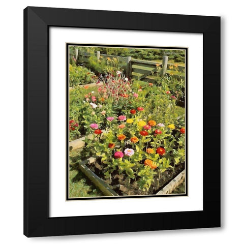 Beautiful Garden Black Modern Wood Framed Art Print with Double Matting by Medeiros, Celito