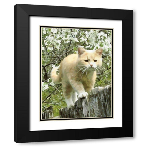 Curious Cat II Black Modern Wood Framed Art Print with Double Matting by Medeiros, Celito