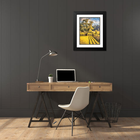 Sunny Day in the Garden Black Modern Wood Framed Art Print with Double Matting by Medeiros, Celito