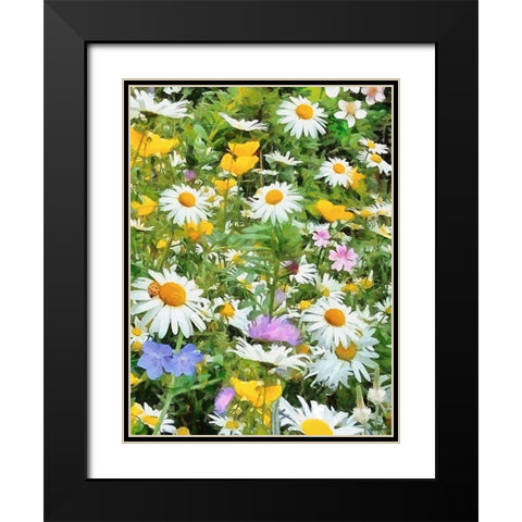 Meadow full of Flowers Black Modern Wood Framed Art Print with Double Matting by Medeiros, Celito