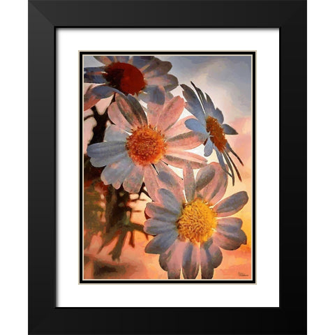 Daisies with the Sun Black Modern Wood Framed Art Print with Double Matting by Medeiros, Celito