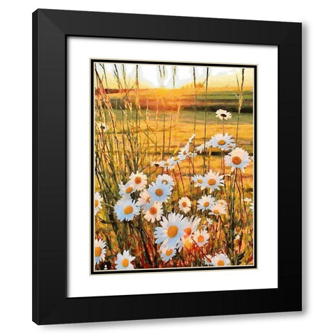 Daisies on the Meadow Black Modern Wood Framed Art Print with Double Matting by Medeiros, Celito
