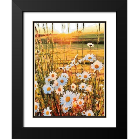 Daisies on the Meadow Black Modern Wood Framed Art Print with Double Matting by Medeiros, Celito