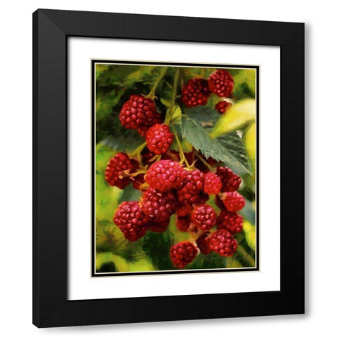 Red Raspberries Black Modern Wood Framed Art Print with Double Matting by Medeiros, Celito