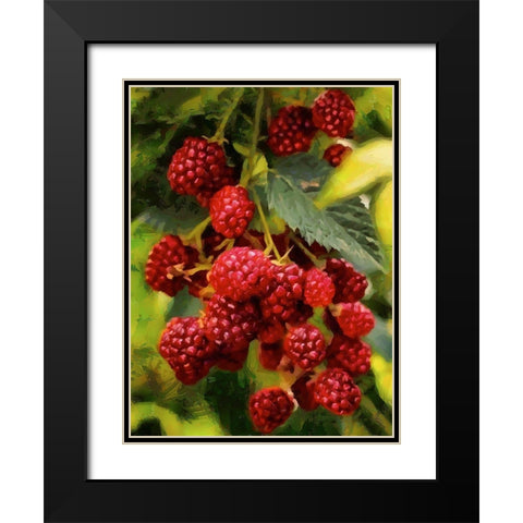 Red Raspberries Black Modern Wood Framed Art Print with Double Matting by Medeiros, Celito