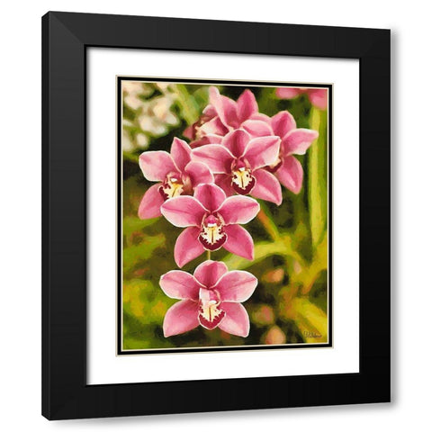 Orchids XXV Black Modern Wood Framed Art Print with Double Matting by Medeiros, Celito