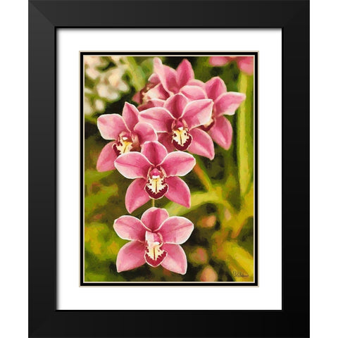 Orchids XXV Black Modern Wood Framed Art Print with Double Matting by Medeiros, Celito
