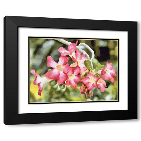 Orchids XXVI Black Modern Wood Framed Art Print with Double Matting by Medeiros, Celito