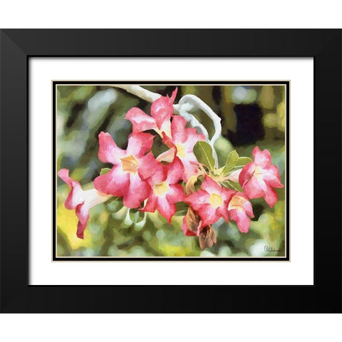 Orchids XXVI Black Modern Wood Framed Art Print with Double Matting by Medeiros, Celito