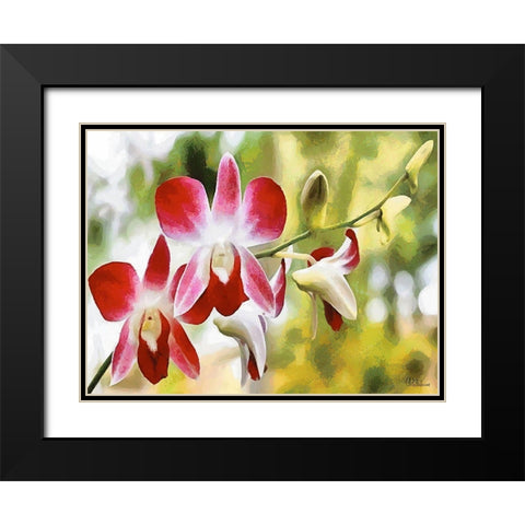 Orchids XXVII Black Modern Wood Framed Art Print with Double Matting by Medeiros, Celito