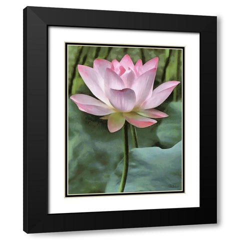 Watter Lilly II Black Modern Wood Framed Art Print with Double Matting by Medeiros, Celito