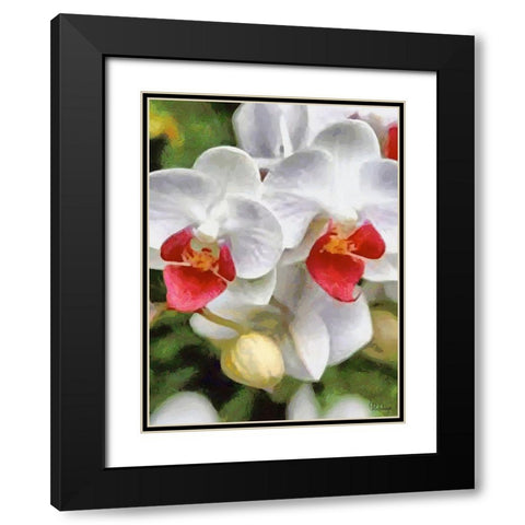Orchids XXX Black Modern Wood Framed Art Print with Double Matting by Medeiros, Celito