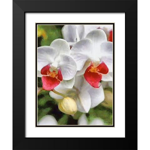 Orchids XXX Black Modern Wood Framed Art Print with Double Matting by Medeiros, Celito