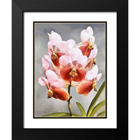 Orchids XXXI Black Modern Wood Framed Art Print with Double Matting by Medeiros, Celito