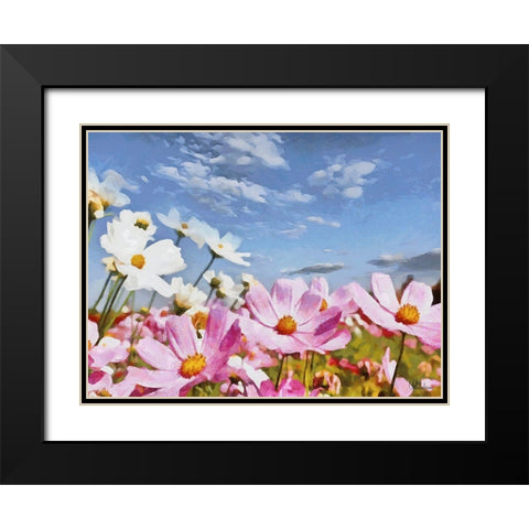 Field Flowers IV Black Modern Wood Framed Art Print with Double Matting by Medeiros, Celito