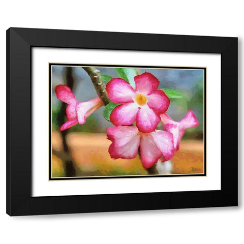 Orchids XXXIII Black Modern Wood Framed Art Print with Double Matting by Medeiros, Celito