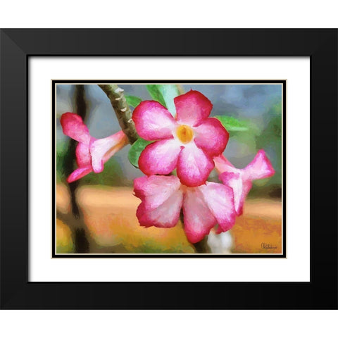 Orchids XXXIII Black Modern Wood Framed Art Print with Double Matting by Medeiros, Celito