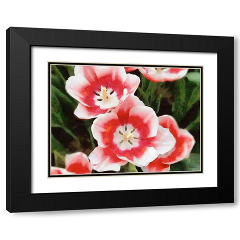 Orchids XXXV Black Modern Wood Framed Art Print with Double Matting by Medeiros, Celito