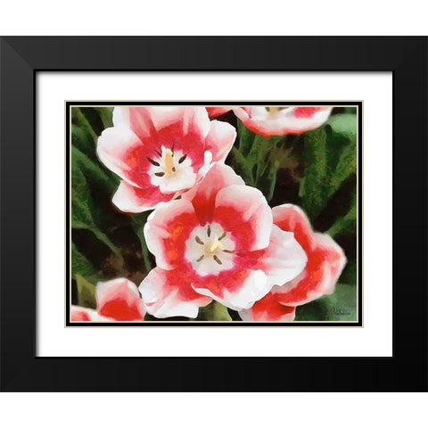 Orchids XXXV Black Modern Wood Framed Art Print with Double Matting by Medeiros, Celito