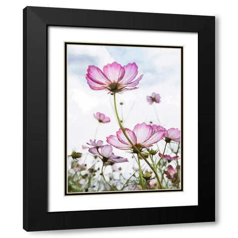 Pink light Flower Black Modern Wood Framed Art Print with Double Matting by Medeiros, Celito