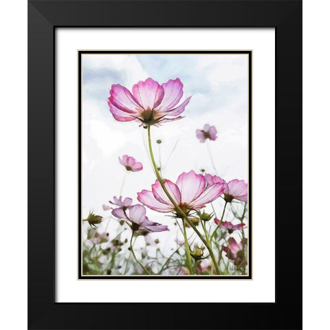 Pink light Flower Black Modern Wood Framed Art Print with Double Matting by Medeiros, Celito