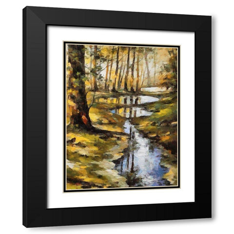 Small Stream in Forest Black Modern Wood Framed Art Print with Double Matting by Medeiros, Celito
