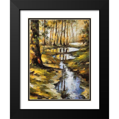 Small Stream in Forest Black Modern Wood Framed Art Print with Double Matting by Medeiros, Celito