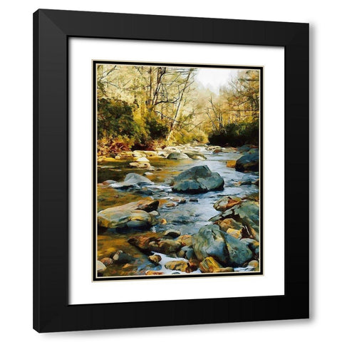 River in the Forest VII Black Modern Wood Framed Art Print with Double Matting by Medeiros, Celito