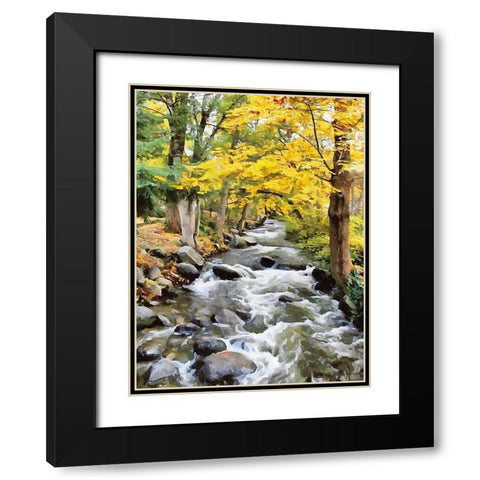River in the Forest VIII Black Modern Wood Framed Art Print with Double Matting by Medeiros, Celito