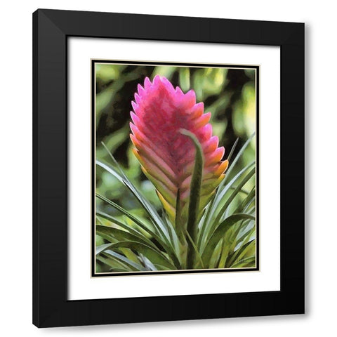 I like Flowers II Black Modern Wood Framed Art Print with Double Matting by Medeiros, Celito