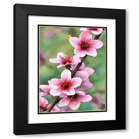 I like Flowers XVI Black Modern Wood Framed Art Print with Double Matting by Medeiros, Celito