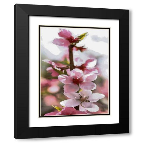 I like Flowers XVIII Black Modern Wood Framed Art Print with Double Matting by Medeiros, Celito