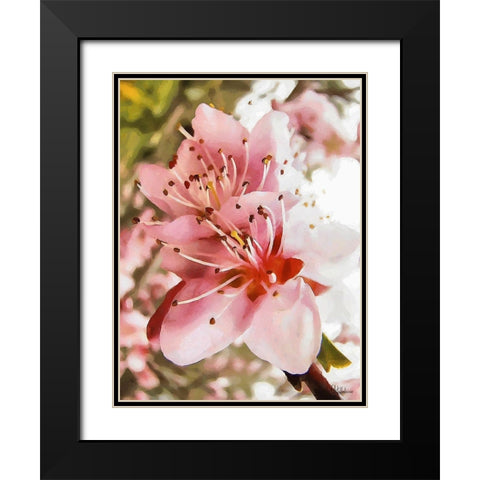 I like Flowers XX Black Modern Wood Framed Art Print with Double Matting by Medeiros, Celito