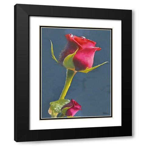 I like Flowers XXI Black Modern Wood Framed Art Print with Double Matting by Medeiros, Celito
