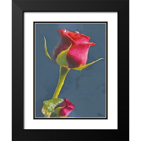I like Flowers XXI Black Modern Wood Framed Art Print with Double Matting by Medeiros, Celito